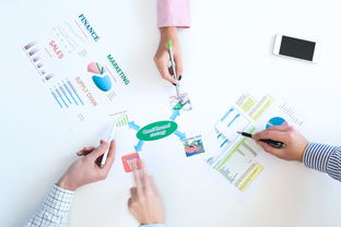 网络购物、信息图表与高清图片 现代信息咨询服务的新维度