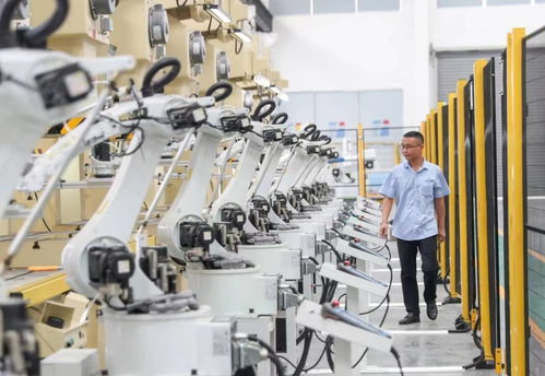 从黑与白到绿野新踪 华蓥市因地制宜推进工业城、旅游市、物流港建设，实现高质量发展转型突围